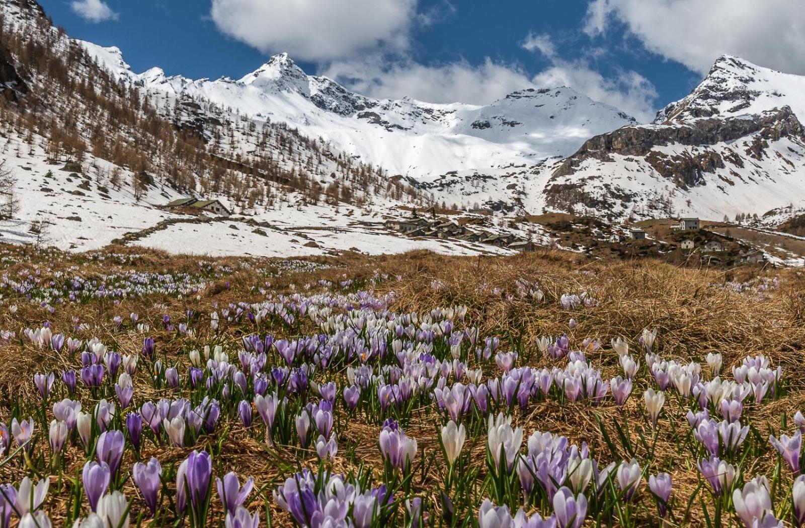 Belcolle, Il Bello Della Tranquillita 키아베나 외부 사진